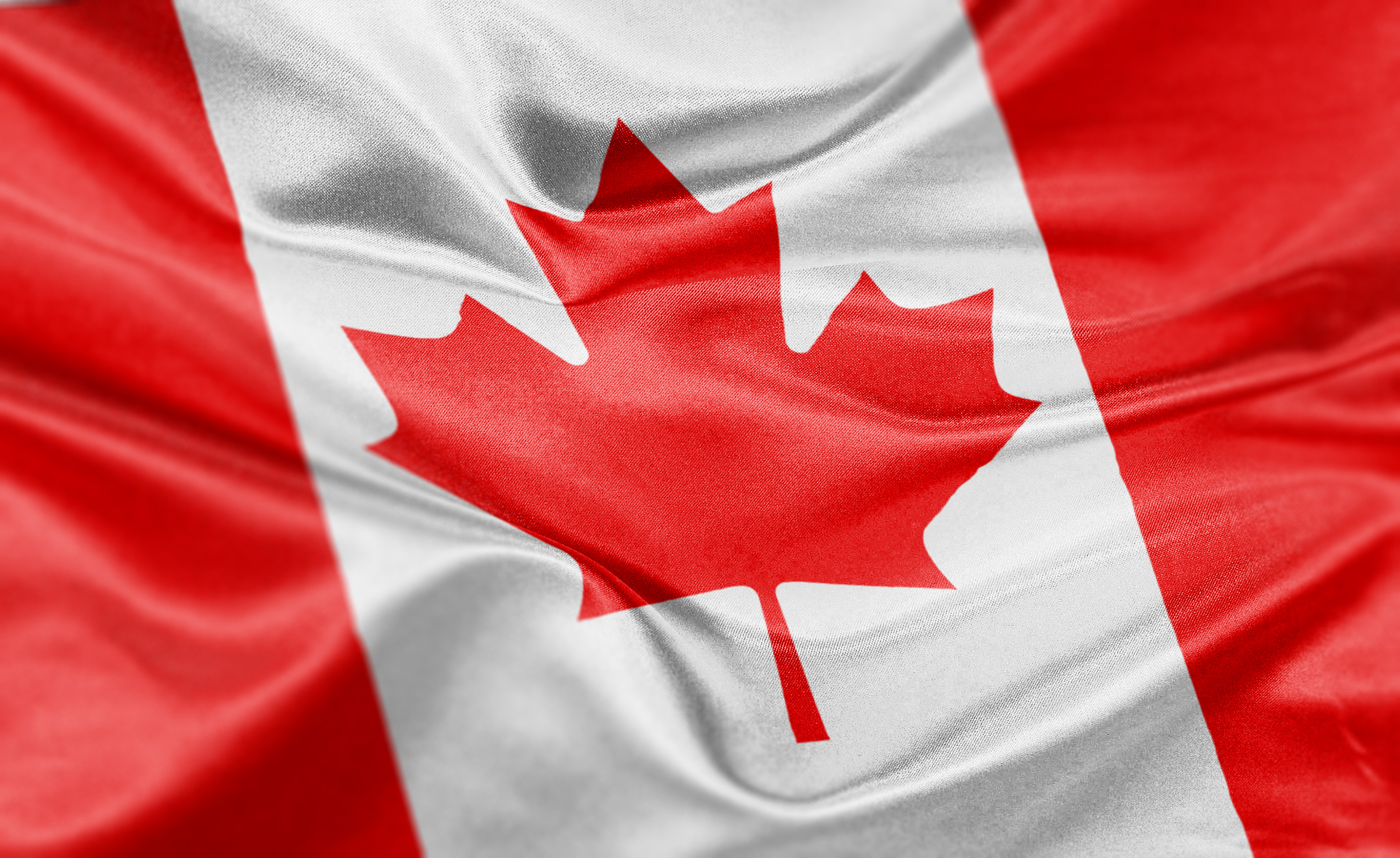 National Flag of Canada Day  IStock-486037941