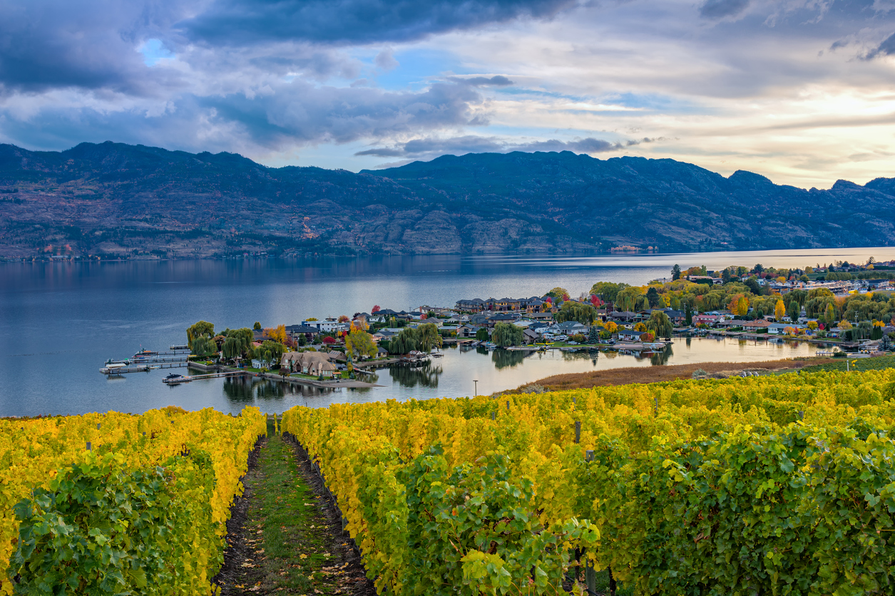 Okanagan businesses concerned travel restrictions will limit tourism – NEWS 1130