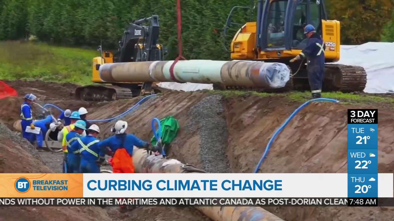 Curbing climate change - CityNews Vancouver